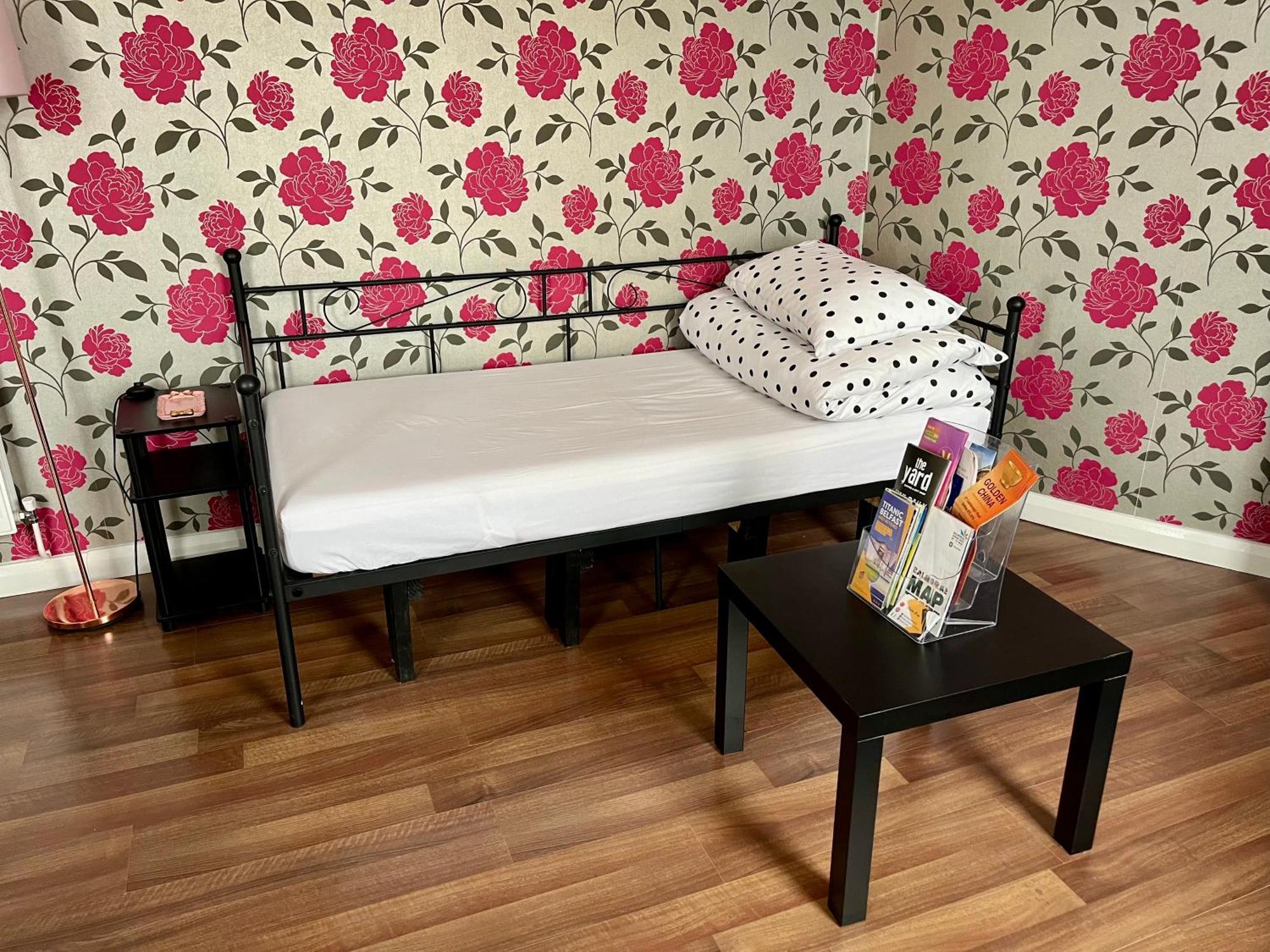 בלפסט Entire Pinkapt - Free Parking - Up To 4 Guests - 3 Beds - Close To City Centre מראה חיצוני תמונה